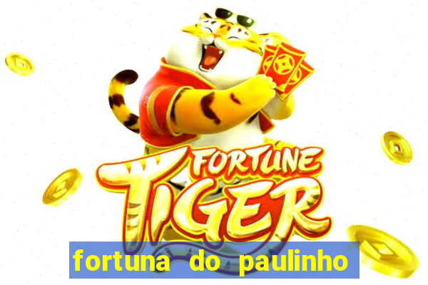 fortuna do paulinho do roupa nova